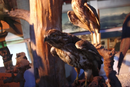 f:id:mifasorashido:20130801092615j:image f:id:mifasorashido:20130801092615j:image