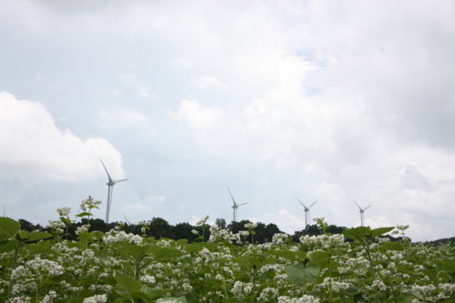 f:id:mifasorashido:20130801102304j:image
