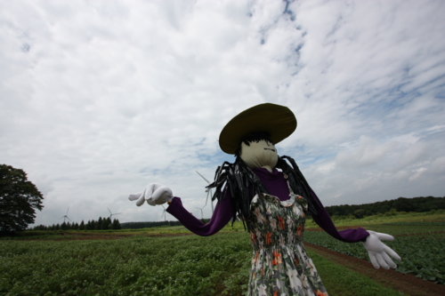 f:id:mifasorashido:20130801103415j:image