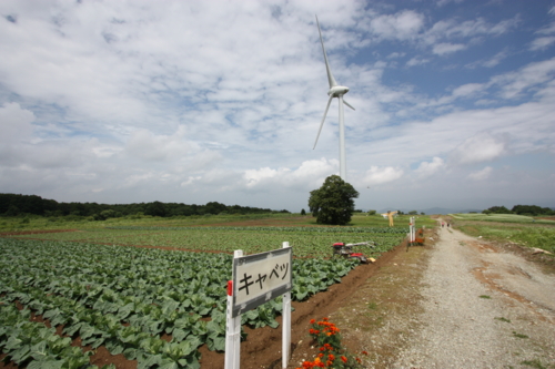 f:id:mifasorashido:20130801103417j:image