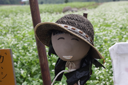 f:id:mifasorashido:20130801103434j:image