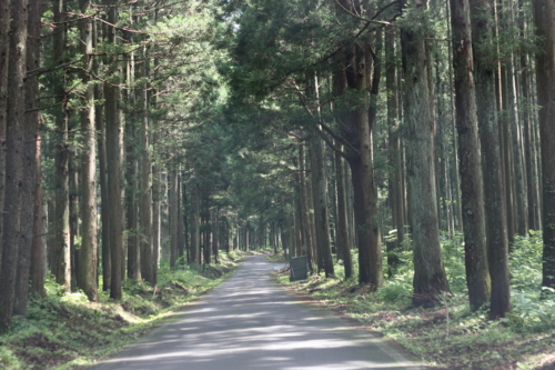 f:id:mifasorashido:20130801103435j:image