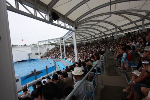 f:id:mifasorashido:20130801103745j:image