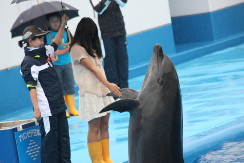 f:id:mifasorashido:20130801103747j:image