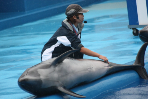 f:id:mifasorashido:20130801103754j:image