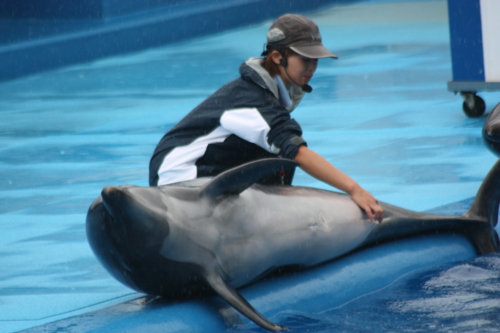 f:id:mifasorashido:20130801103756j:image