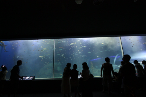 f:id:mifasorashido:20130801103812j:image