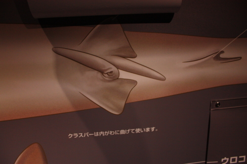 f:id:mifasorashido:20130801103921j:image