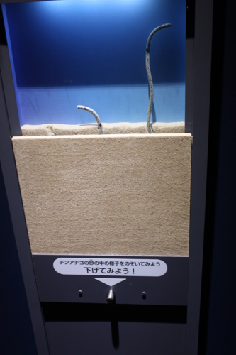f:id:mifasorashido:20130801103948j:image