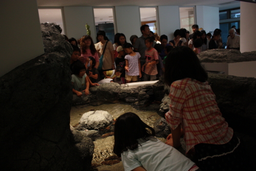 f:id:mifasorashido:20130801104027j:image