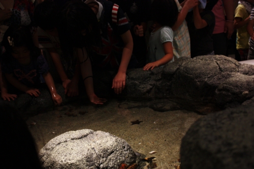 f:id:mifasorashido:20130801104028j:image
