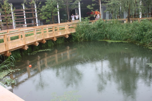 f:id:mifasorashido:20130801104118j:image