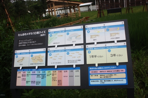 f:id:mifasorashido:20130801104121j:image