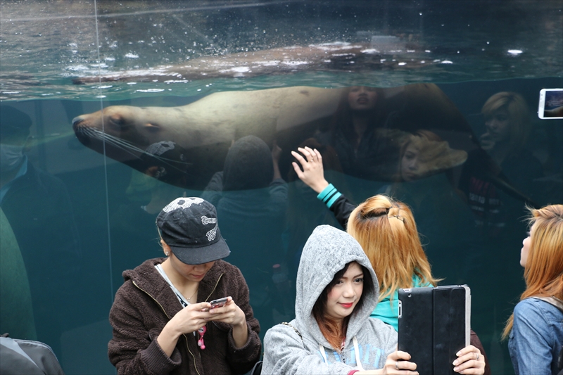 f:id:mifasorashido:20140331222524j:image