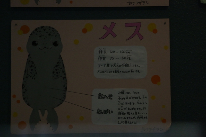 f:id:mifasorashido:20140506003832j:image