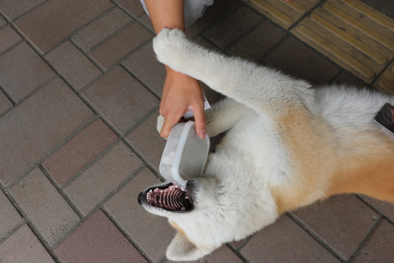 f:id:mifasorashido:20140608230614j:image f:id:mifasorashido:20140608230614j:image