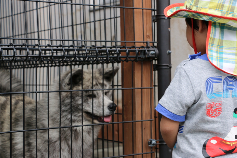 f:id:mifasorashido:20140608230631j:image f:id:mifasorashido:20140608230631j:image