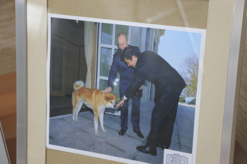 f:id:mifasorashido:20140608230644j:image f:id:mifasorashido:20140608230644j:image