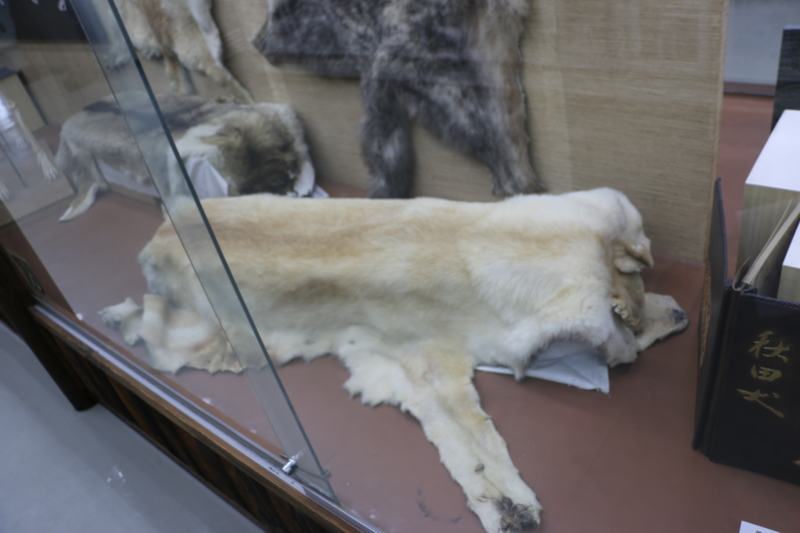 f:id:mifasorashido:20140608230656j:image f:id:mifasorashido:20140608230656j:image