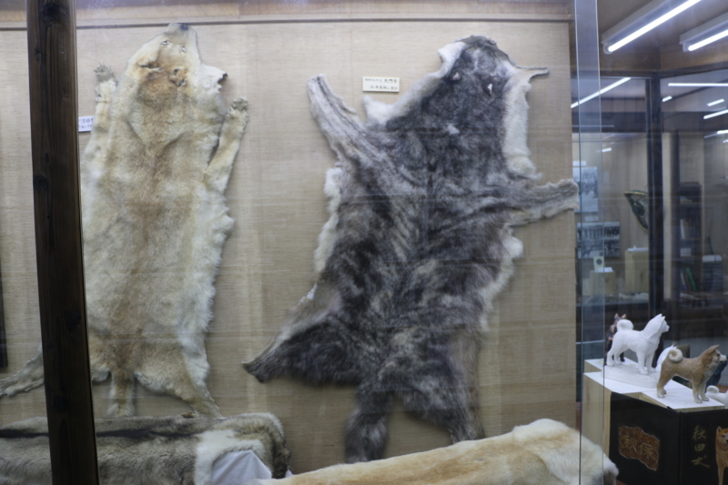 f:id:mifasorashido:20140608230658j:image f:id:mifasorashido:20140608230658j:image