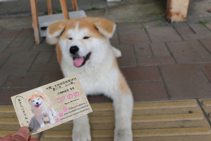 f:id:mifasorashido:20140608234849j:image f:id:mifasorashido:20140608234849j:image