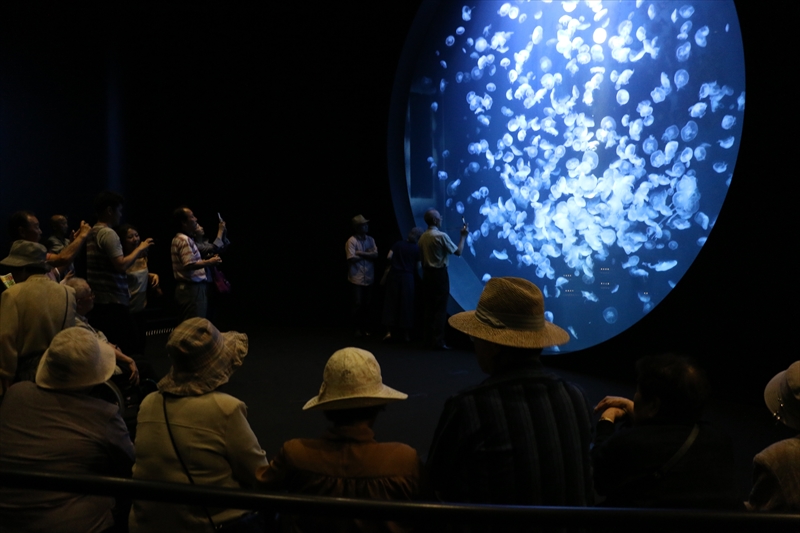 f:id:mifasorashido:20140624215000j:image