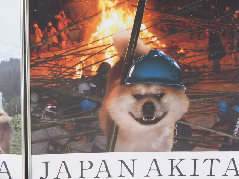 f:id:mifasorashido:20180627130933j:image f:id:mifasorashido:20180627130933j:image