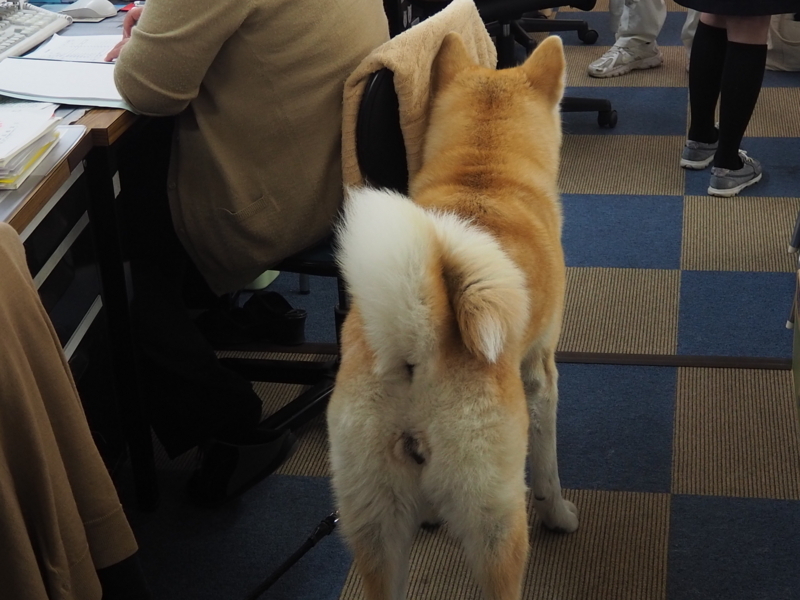 f:id:mifasorashido:20180627215029j:image f:id:mifasorashido:20180627215029j:image