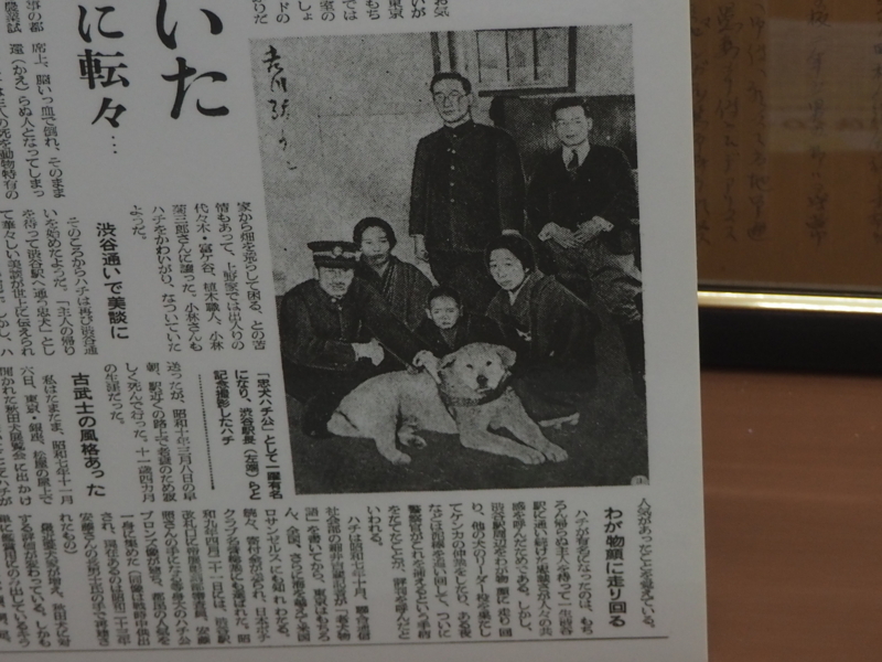 f:id:mifasorashido:20180627215127j:image f:id:mifasorashido:20180627215127j:image