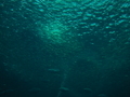 20201203211539