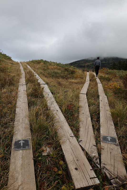 f:id:mifasorashido:20211024221310j:image