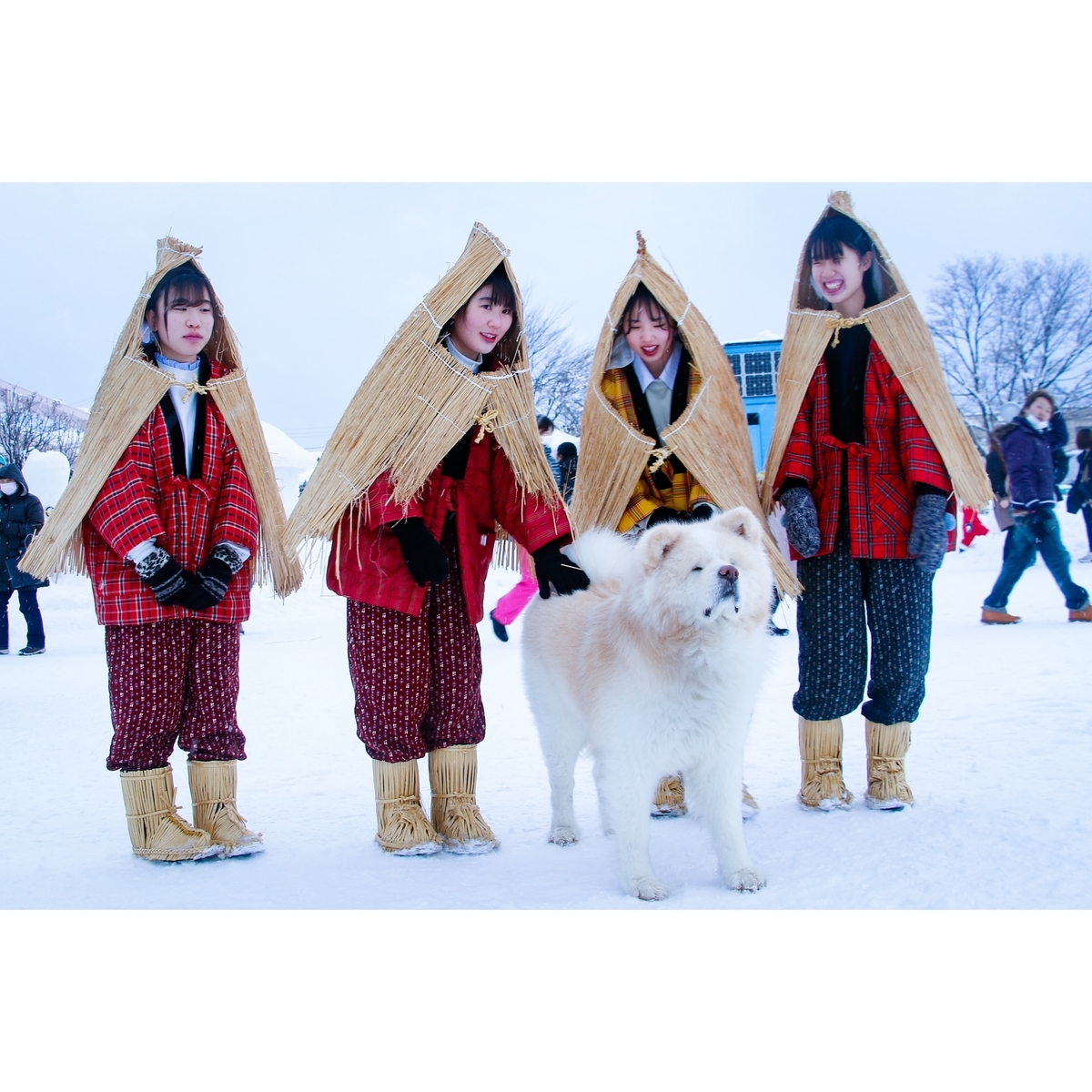 犬っこ祭り(2020年撮影) 切片/断片