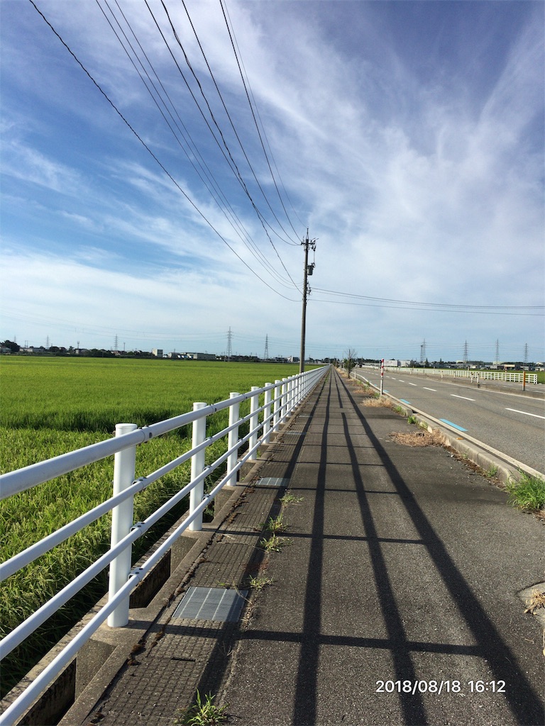f:id:miffyjhk:20180818184044j:image