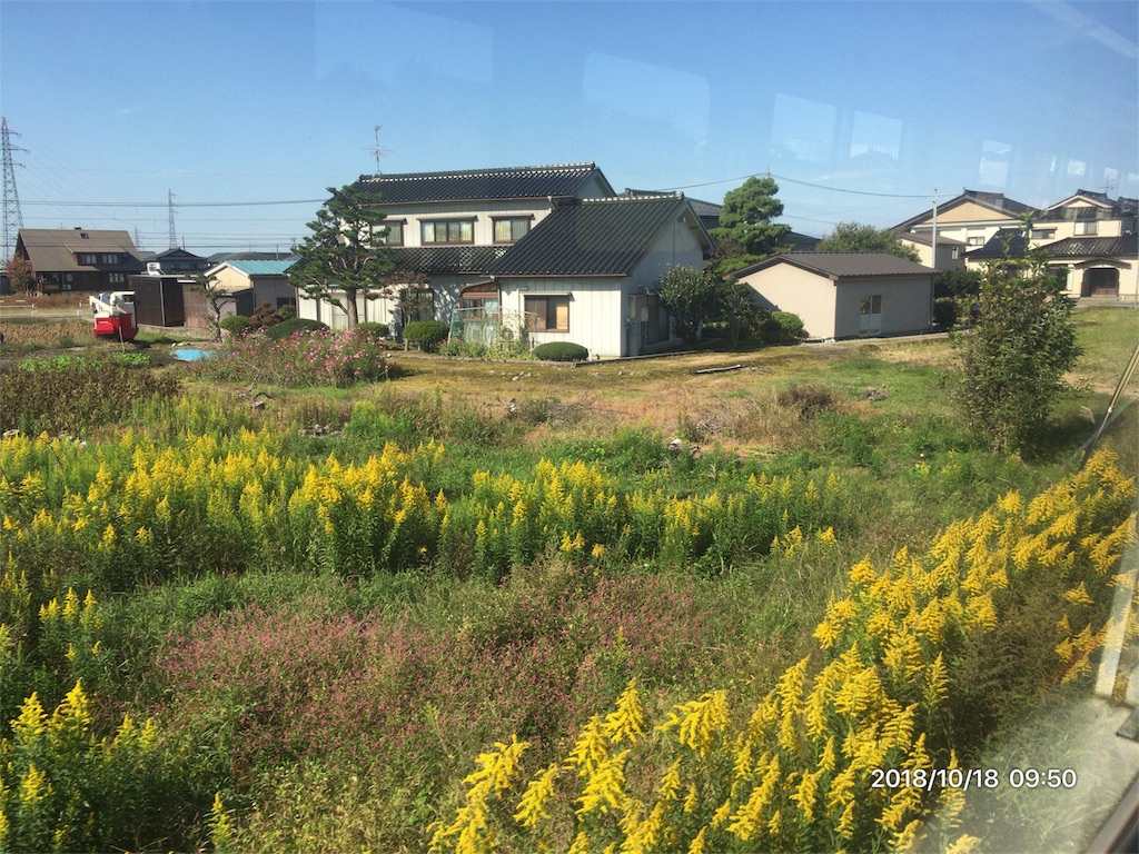 f:id:miffyjhk:20181018135505j:image f:id:miffyjhk:20181018135505j:image