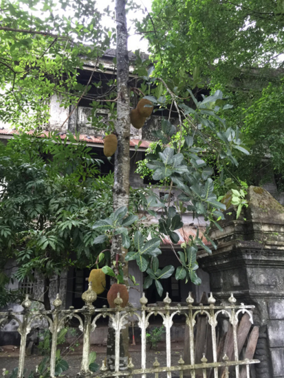 f:id:mifrel:20160702005928j:image f:id:mifrel:20160702005928j:image