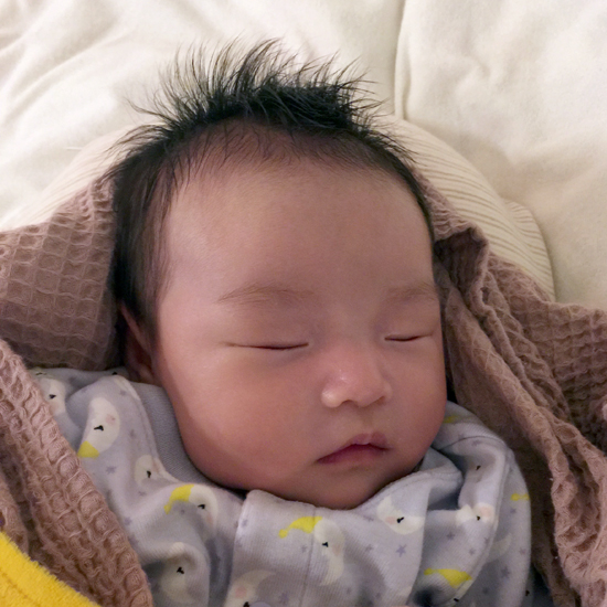 f:id:mifrel:20170308230854j:image