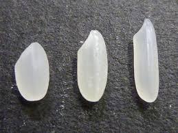 f:id:mifuketa:20190908201646j:plain f:id:mifuketa:20190908201646j:plain
