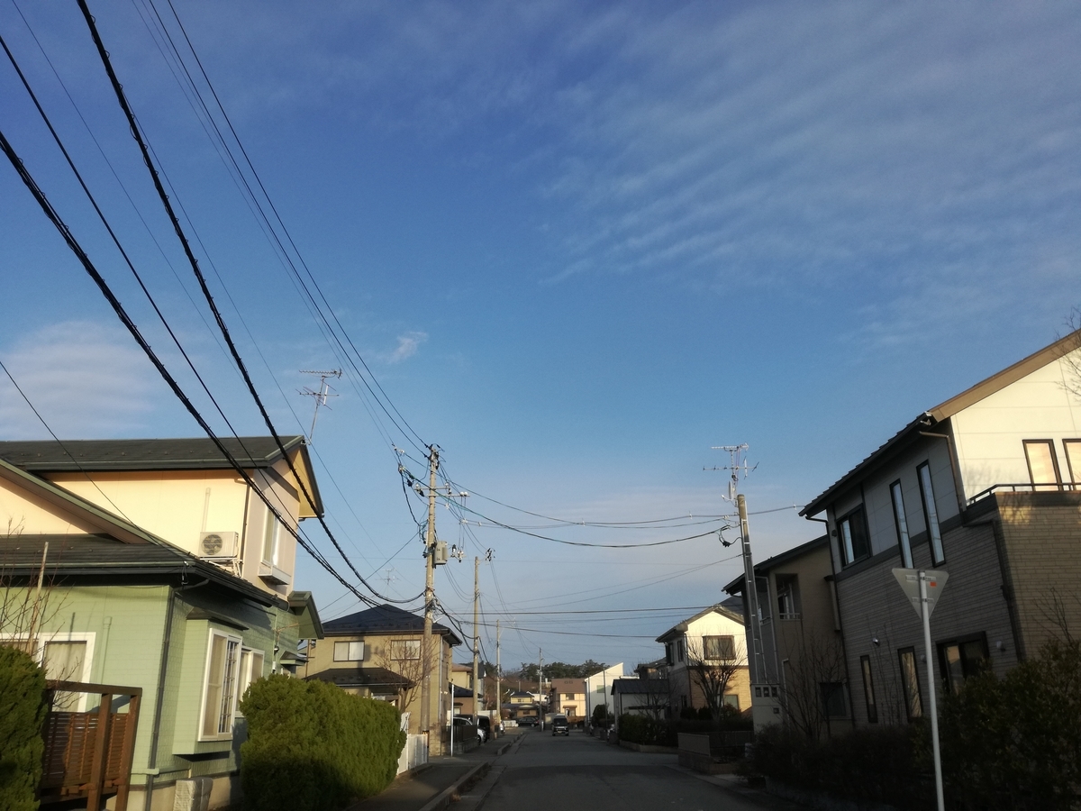 f:id:mifuketa:20200224071207j:plain