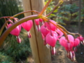 20110414153718