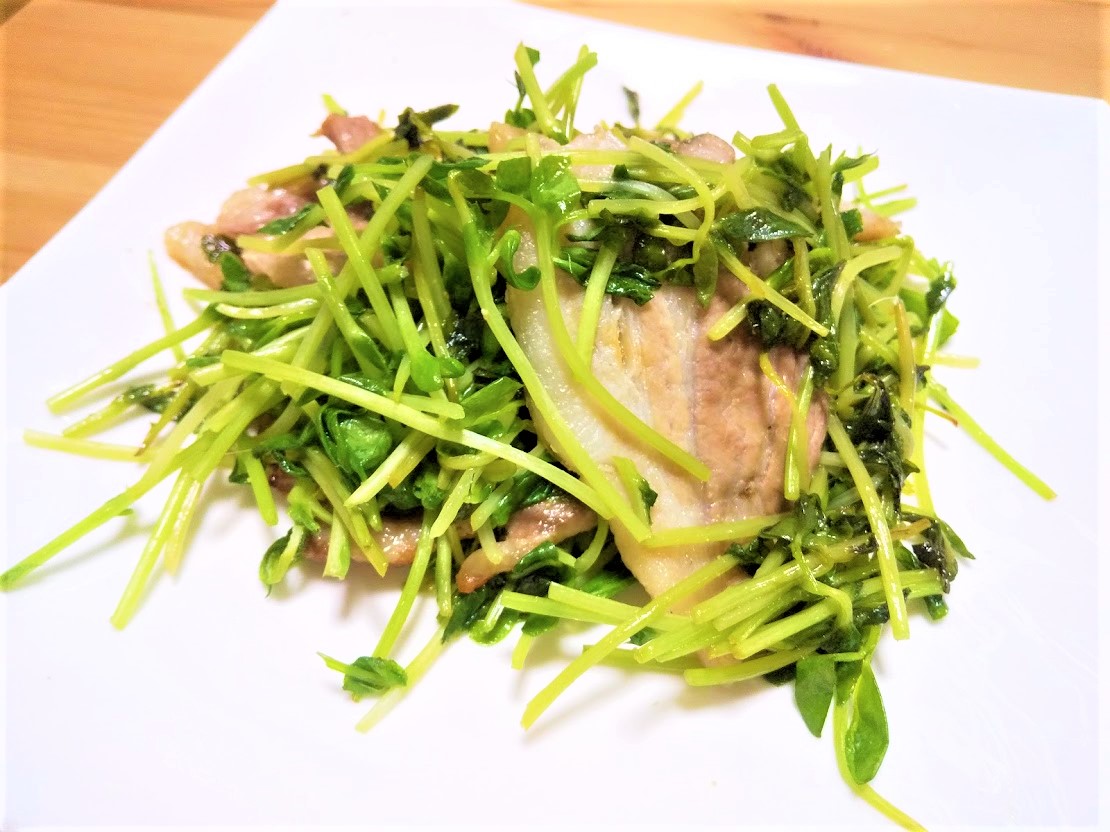 f:id:mifumim:20210304213434j:plain