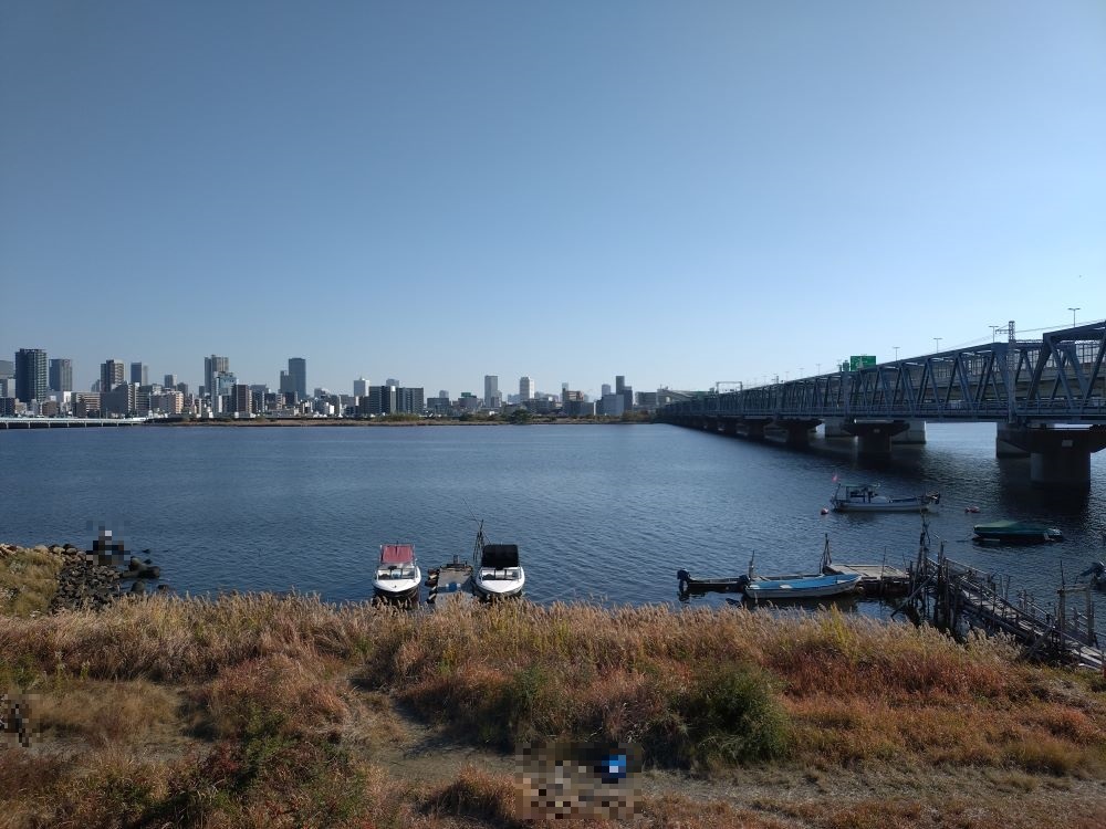 晩秋の淀川ハゼを穴釣りで探してみた(2025年11月) - まいとの週末