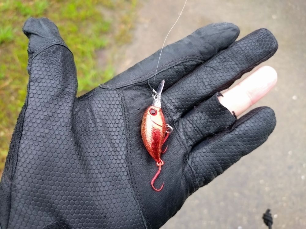 まいとの週末トコトコ釣り散歩