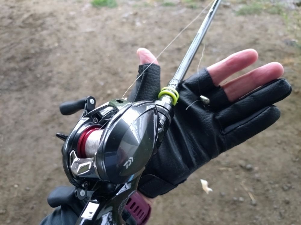 まいとの週末トコトコ釣り散歩