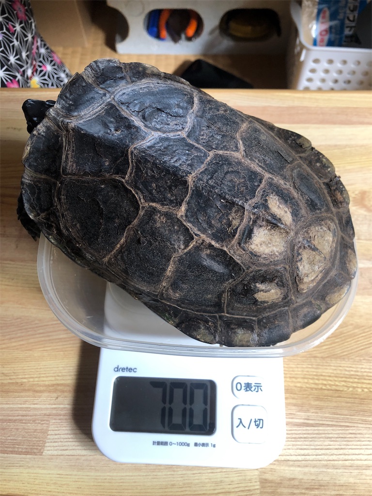 f:id:mightyandmelt:20180930125016j:image