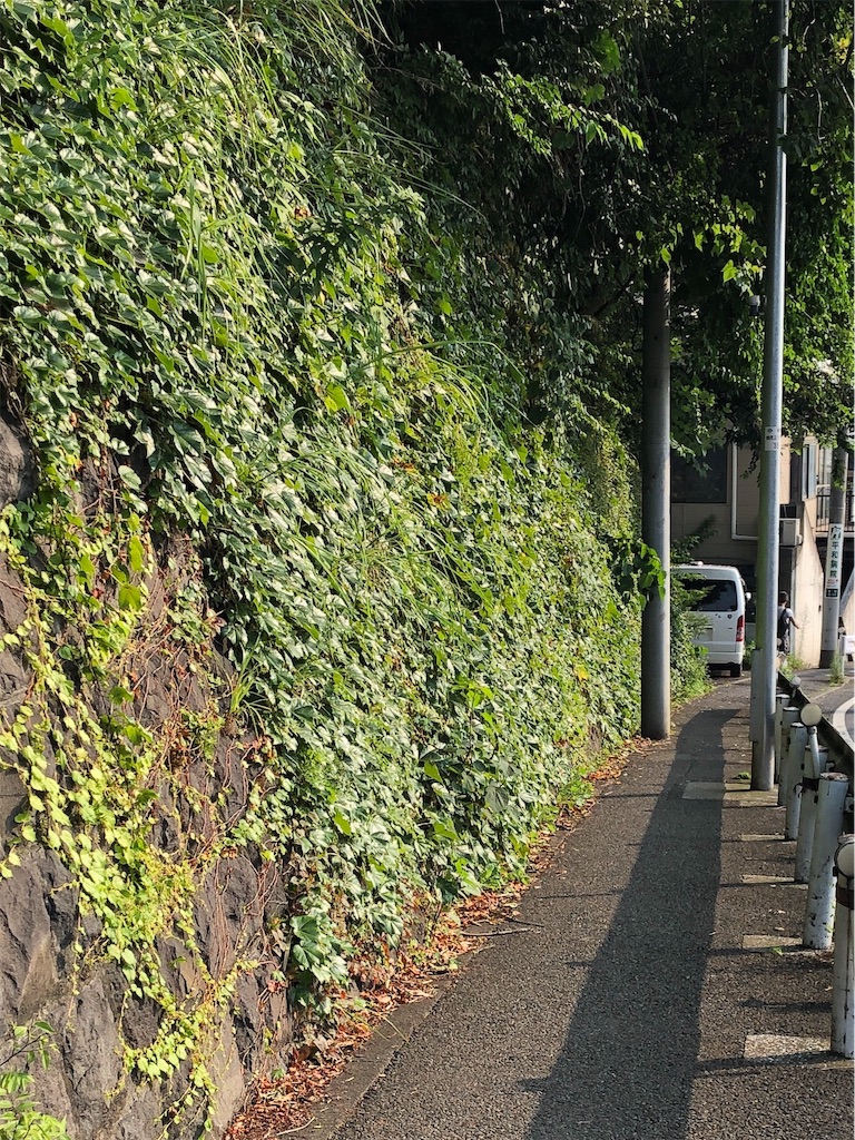 f:id:mightyandmelt:20190801193814j:image