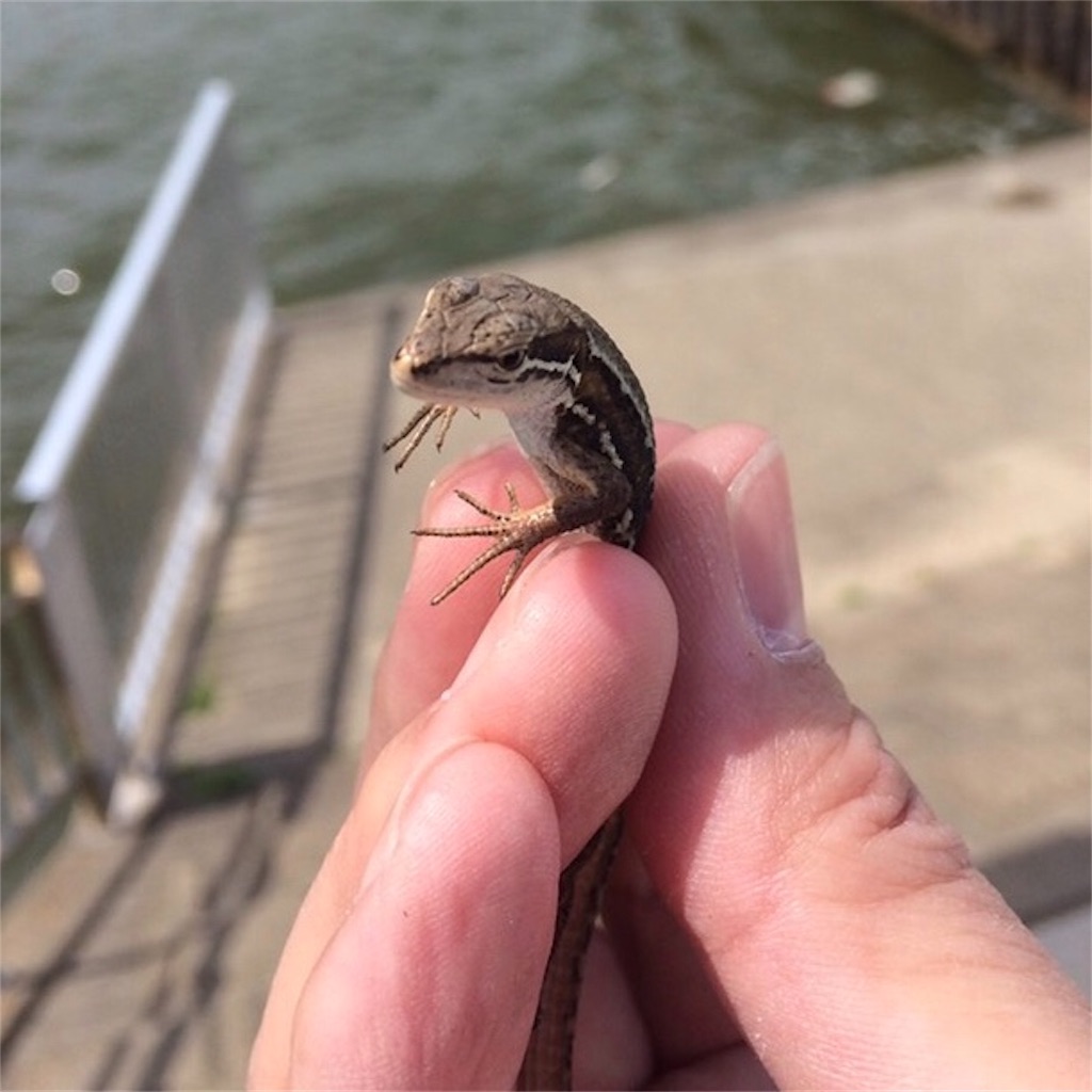 f:id:mightyandmelt:20190929130920j:image