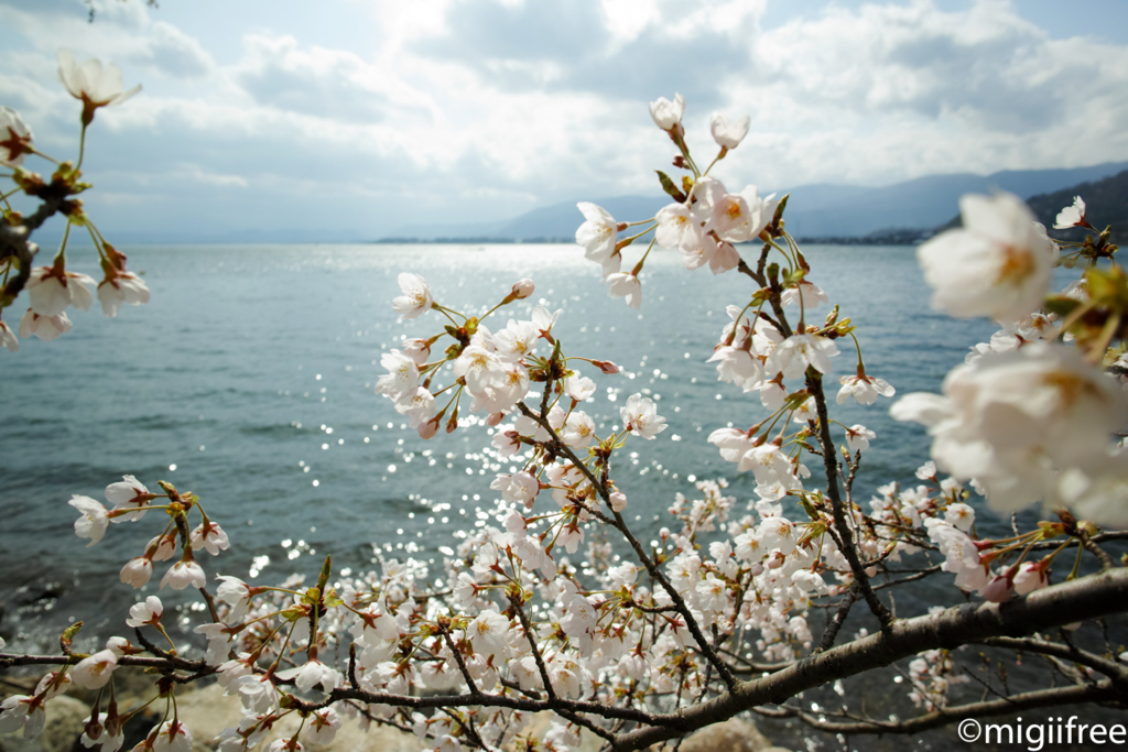 f:id:migiifree:20170414182044j:plain f:id:migiifree:20170414182044j:plain