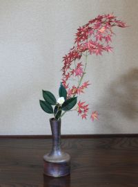 f:id:migu25:20111209145437j:image