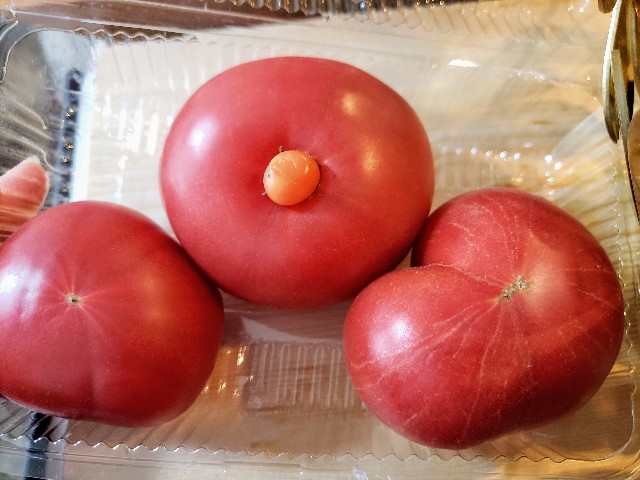 f:id:miharhumba:20200511134926j:image