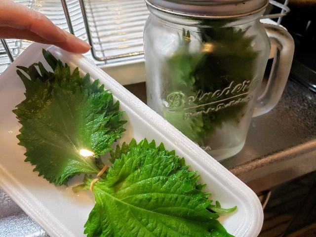 f:id:miharhumba:20200511135019j:image